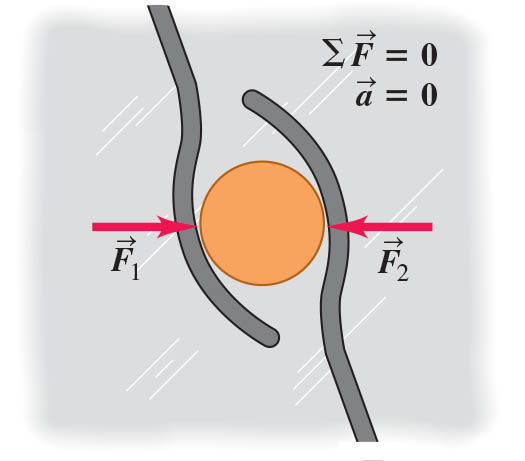 An object acted on by forces whose vector sum is zero behaves as though no forces act on it.