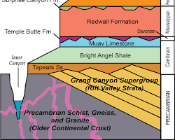 polar strata graph