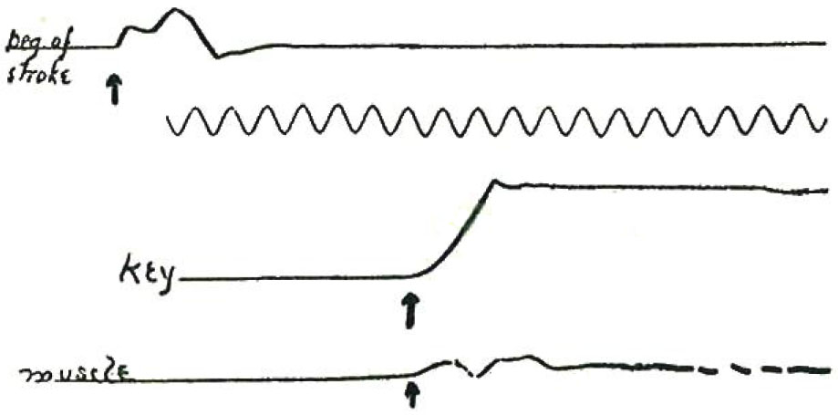 well-coordinated movement at the beginning of the stroke