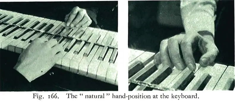 The natural hand position at the keyboard