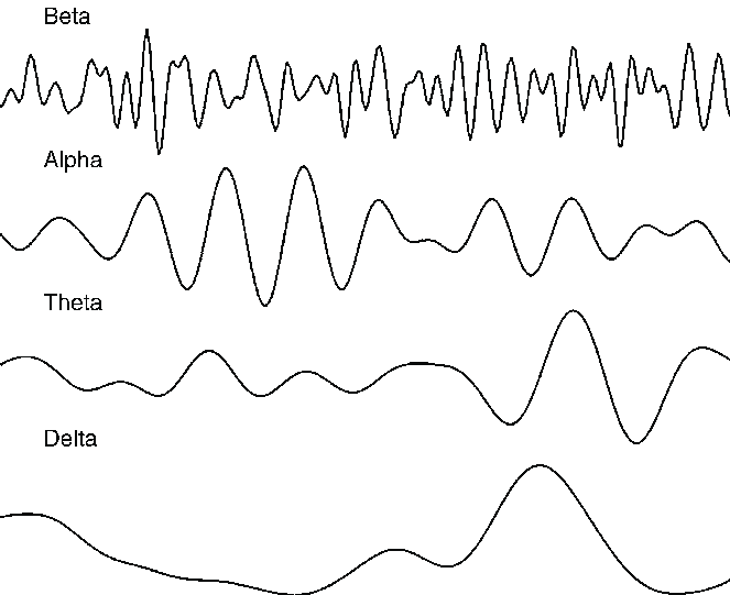 Brain Waves Beta, Alpha, Theta and Delta